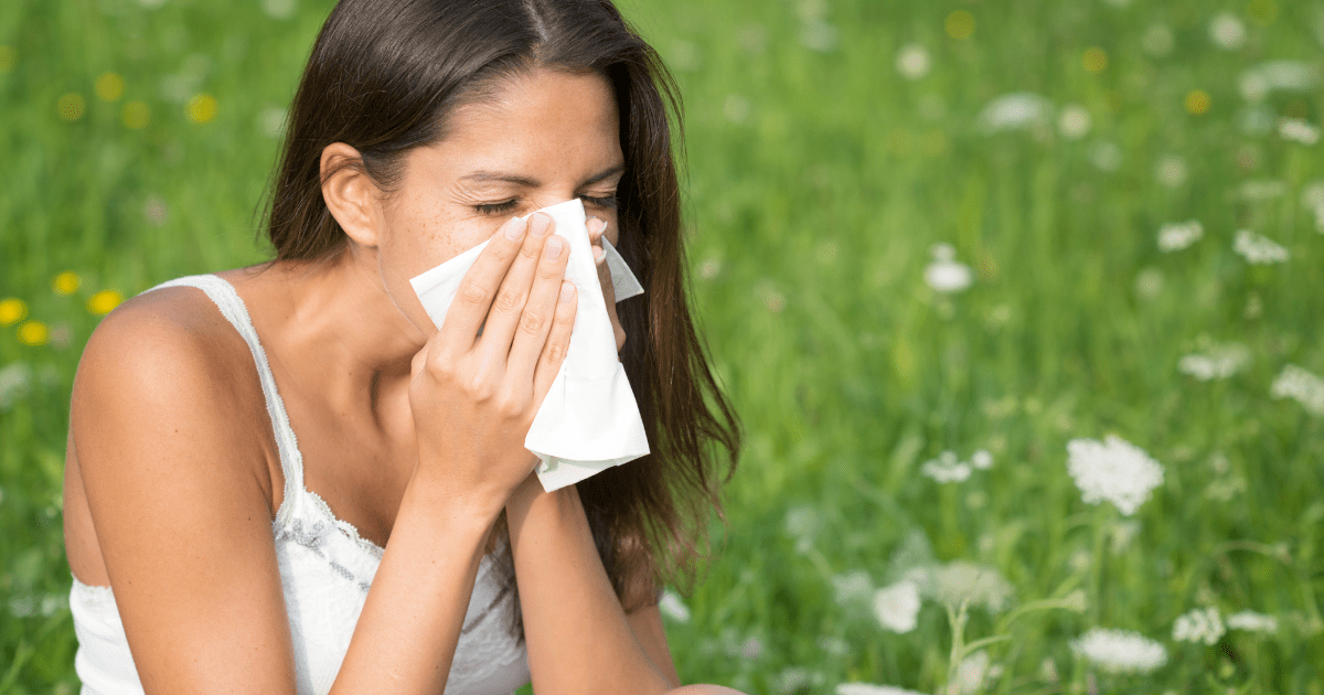 Hay Fever: A Comprehensive Guide to Understanding, Treating, and Managing Allergic Rhinitis